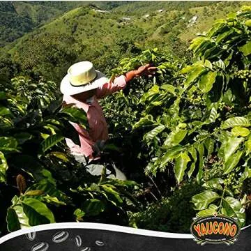 Yaucono Ground Coffee Bagged, 14 Ounce (Pack of 2)