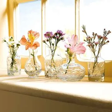 Mini Vases for Flowers - Elegant Set of 5 Glass Bud Vases