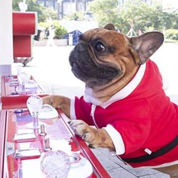 iChoue French Bulldog Santa Costume for Winter Fun