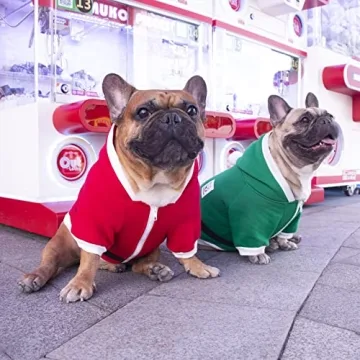 iChoue French Bulldog Santa Costume for Winter Fun