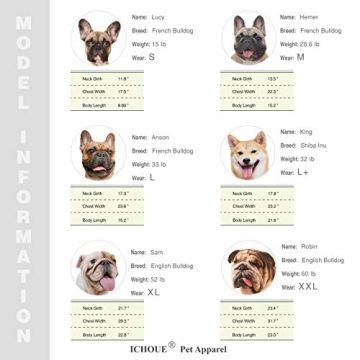 iChoue French Bulldog Santa Costume for Winter Fun