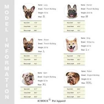 iChoue French Bulldog Santa Costume for Winter Fun