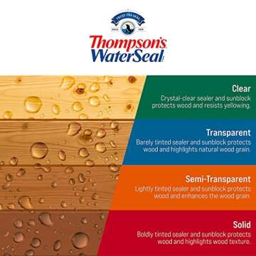 Thompson’s WaterSeal Multi-Surface Waterproofer Stain, Clear, 1 Gallon