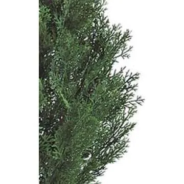 Three 3 Foot Artificial Cedar Topiary Trees Potted Indoor or Outdoor