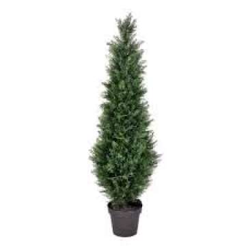 Three 3 Foot Artificial Cedar Topiary Trees Potted Indoor or Outdoor