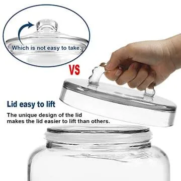 Daitouge 3 Gallon Glass Jar for Food Storage