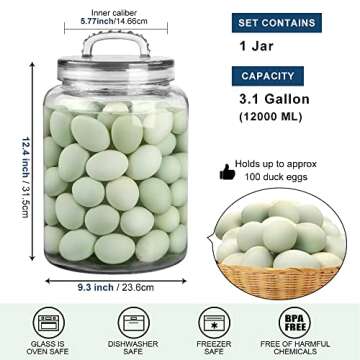 Daitouge 3 Gallon Glass Jar for Food Storage