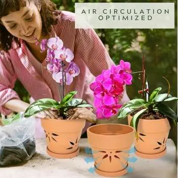 Thriving Thicket Handmade 3 Pack 6 inch Terracotta Orchid Pots with Holes and Saucers, Clay Orchid Planter Pots for Repotting, Small Terra Cotta Orchid Vase, Ceramic Plant Flower Pot Indoor Outdoor