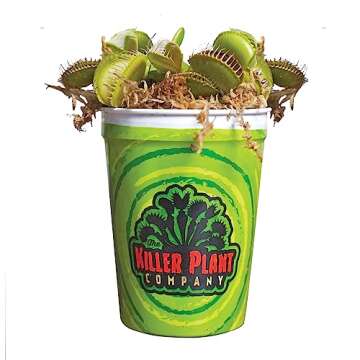 Venus Fly Trap Live Plant - Perfect Gift Idea