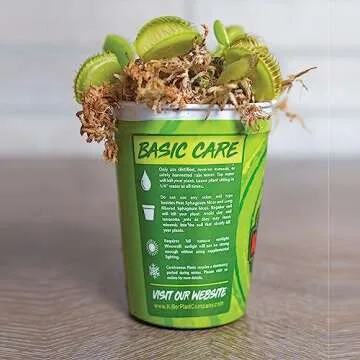 Venus Fly Trap Live Plant - Perfect Gift Idea
