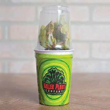 Venus Fly Trap Live Plant - Perfect Gift Idea