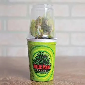 Venus Fly Trap Live Plant - Perfect Gift Idea