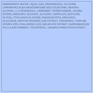 LANEIGE Water Bank Blue Gel Moisturizer with Mint Extract