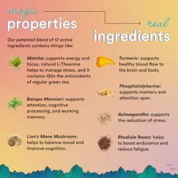 Magic Mind Focus Energy Drink Shots - No Jitters, Stress Relieving, Ashwagandha, Functional Mushrooms, Matcha Green Tea, Vitamin B12, Vitamin C - 2 FL Oz (5 Pack)