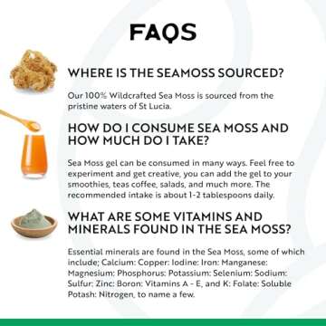 Herbal Vineyards Wildcrafted Irish Gold Sea Moss Gel - Made with Dried Seaweed & Fresh Sea Vegetables, Seamoss - Made in USA