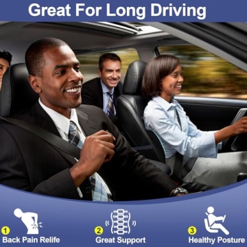 Comfortable Lumbar Support Pillow for Car and Office