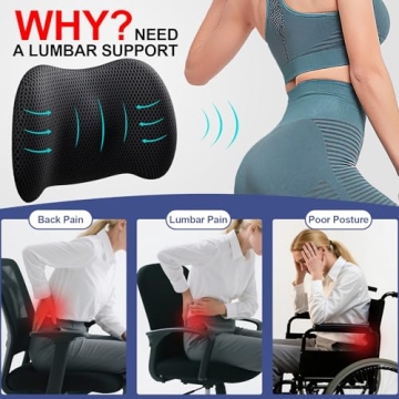 Comfortable Lumbar Support Pillow for Car and Office
