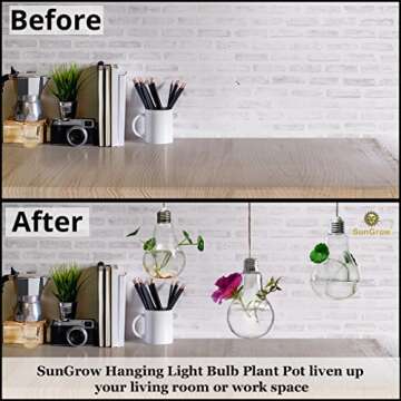 SunGrow 3 Hanging Light Bulb Plant Pot with Strings