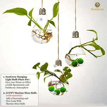 SunGrow 3 Hanging Light Bulb Plant Pot with Strings