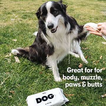 DOG by Dr. Lisa - Dog Wipes - Plant-Based, Natural Bathing Wipes for Dogs - Made from 100% Compostable Bamboo - Vet-Created - Vegan, Non-Toxic - 80 Count