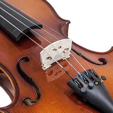 Paititi 14'' Viola Starter Kit for Musicians