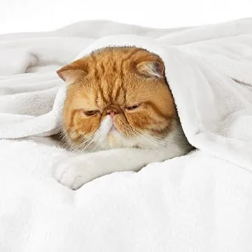 Bedsure King Size Fleece Blanket for Ultimate Comfort