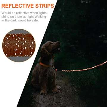 Joytale 30FT Dog Training Leash with Padded Handle