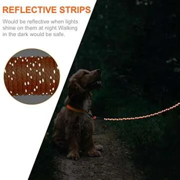 Joytale 30FT Dog Training Leash with Padded Handle