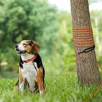 Joytale 30FT Dog Training Leash with Padded Handle