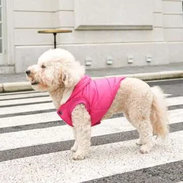 Vecomfy Extra Warm Dog Hoodie for Small Dogs