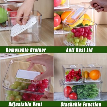 REFSAVER Fridge Storage Containers Stackable Produce Saver