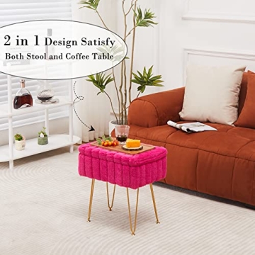 Wimarsbon Faux Mink Fur Storage Ottoman for Any Space