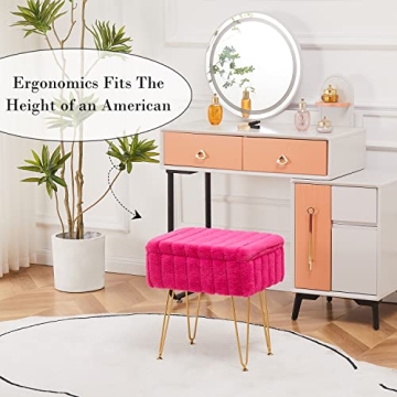 Wimarsbon Faux Mink Fur Storage Ottoman for Any Space