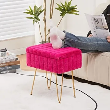 Wimarsbon Faux Mink Fur Storage Ottoman for Any Space