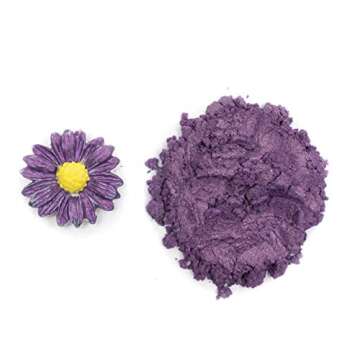 Amethyst Edible Luster Dust | Edible Powder & Dust | Food Grade Luster Dust for Decorating, Fondant,...
