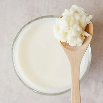 Cultures for Health Kefir Grains for Homemade Probiotic Drink