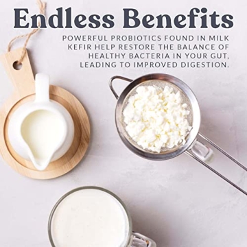 Cultures for Health Kefir Grains for Homemade Probiotic Drink