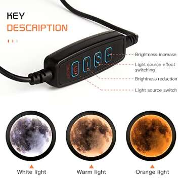 9.84in LED Wall Mirror with 3 Brightness Modes, Wall/Stand Mounted - For Living Room, Bathroom Decor