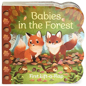 Explore Nature with Babies in the Forest Board Book