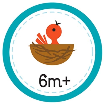 Explore Nature with Babies in the Forest Board Book