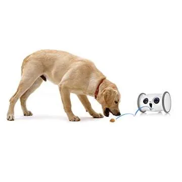 SKYMEE Owl Robot: Movable Full HD Pet Camera with Treat Dispenser, Interactive Toy for Dogs and Cats, Mobile Control via App
