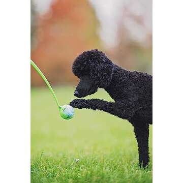 Chuckit! Sport 14S Dog Ball Launcher - Includes a 2-inch Diameter Small Ball for Dogs 0-20 Pounds - Manual Tennis Ball Thrower With a Slim Handle - 14-inch Length Chucker