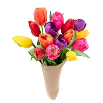 Stargazer Barn Confetti Tulips Fresh Flowers Bouquet - Overnight Prime Delivery, Fresh Cut Flowers for Long Life - Bouquet of Flowers For Birthday, Anniversary, Mothers, Get Well - 15 Stems