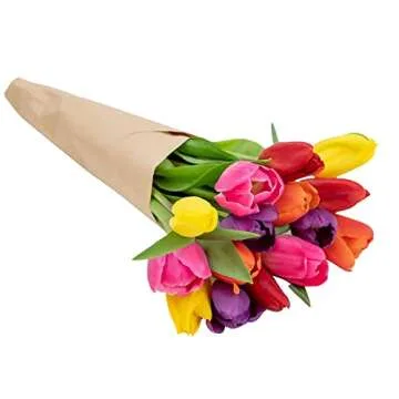 Stargazer Barn Confetti Tulips Fresh Flowers Bouquet - Overnight Prime Delivery, Fresh Cut Flowers for Long Life - Bouquet of Flowers For Birthday, Anniversary, Mothers, Get Well - 15 Stems