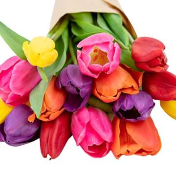 Stargazer Barn Confetti Tulips Fresh Flowers Bouquet - Overnight Prime Delivery, Fresh Cut Flowers for Long Life - Bouquet of Flowers For Birthday, Anniversary, Mothers, Get Well - 15 Stems
