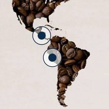 Lavazza Holiday Blend Coffee 10.5 oz Pack - Festive & Flavorful