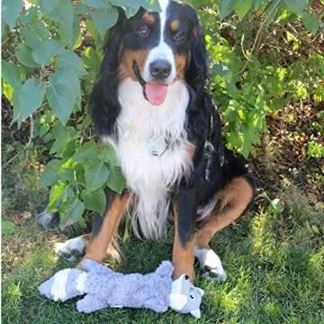 SmartPetLove Tender-Tuffs Dog Toy for Interactive Play