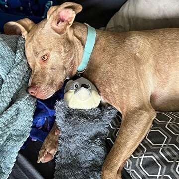 SmartPetLove Tender-Tuffs - Bottle Toy (Fox)