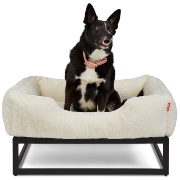 Elegant FUZI Elevated Dog Bed for Medium Dogs - Washable & Stylish
