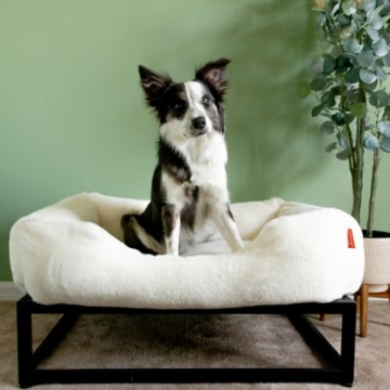 Luxury Elevated Dog Bed for Medium Dogs - FUZI